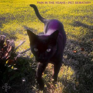 Pet Sematary