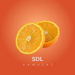 Suquinho De Laranja (IV)