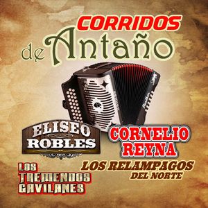 Sobre El Muerto Las Coronas