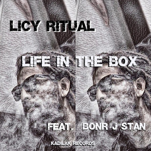 LIFE IN THE BOX