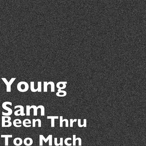 Been Thru Too Much