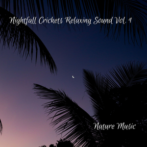 Cicadas Buzzing Atmosphere