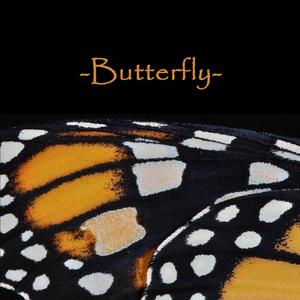 Butterfly（Prod.Airwill）