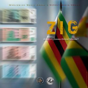 ZIG (feat. Washaa T Beatz & Duramu Official)