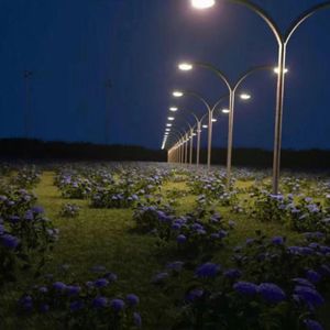 [Free]“街头陷阱”Hoodtrap DD Ma Shawty Type beat