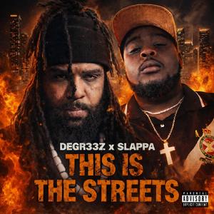 This is the Streets (feat. Degr33z & Slappa)