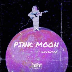 Pink Moon（粉红月亮）