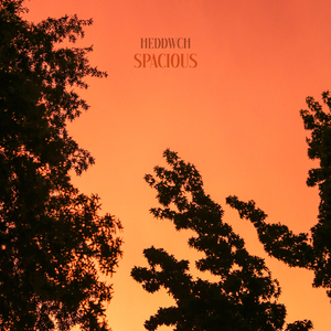 Spacious (Forest Version)