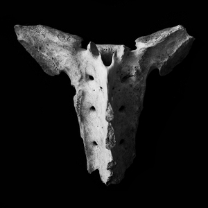 The Unknown Thergothon in the Cold Waste (Nightmare Edit)