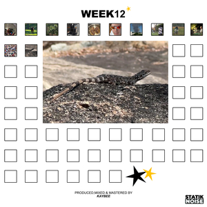 WEEK08