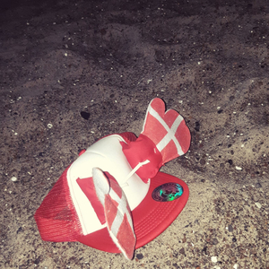 Dansk Kærlighed