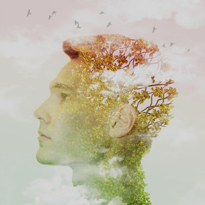 サーモグラフィー