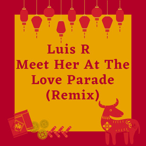 Meet Her at the Love Parade (Remix)