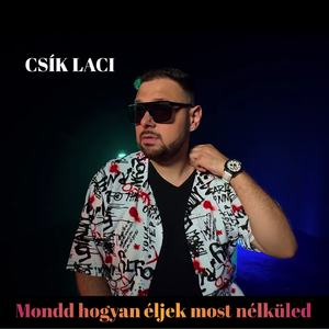 Mondd hogyan éljek most nélküled