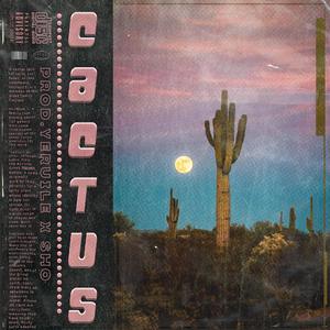 免费-"仙人掌丨cactus"_gunna type beat_
