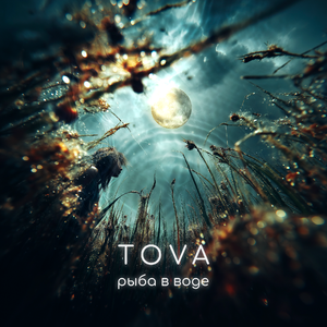 Рыба в воде