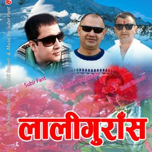 Bidesh (Tourist Visa)