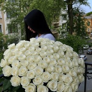 Залежна_Barsik