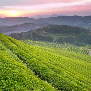 漫长的路-整曲 伴奏