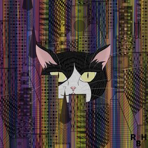 Stray cat