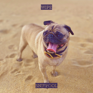 Wipe