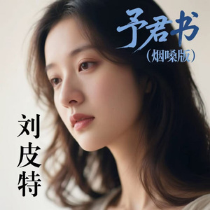 予君书 (烟嗓版)