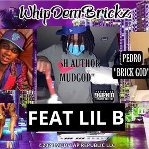 WHIPDEMBRICKZ! (feat. Lil B)