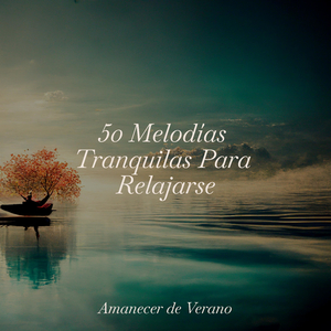 Balanceándose en la Selva