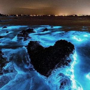 车水马龙没关系