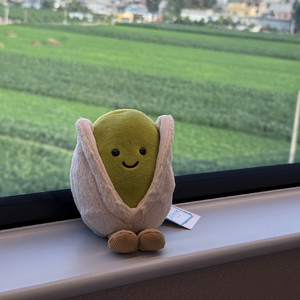 我做你的开心果