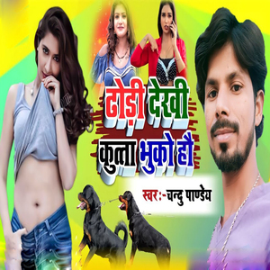 Dhodi Dekhi Kutta Bhuko Ho