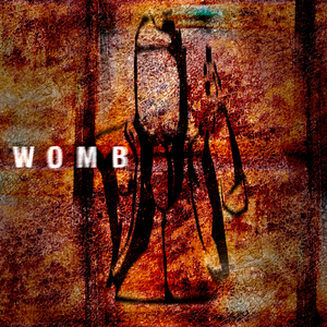 Womb