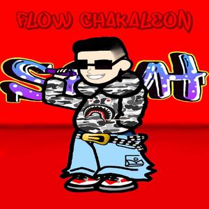 Flow Chakaleon
