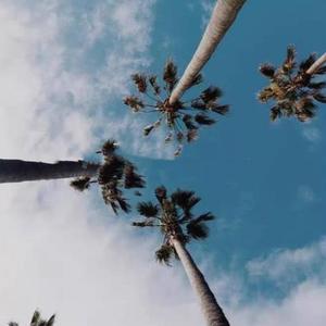 DJ Skr7- 我愿意平凡的陪在你身旁（Tuo zhAo remix）