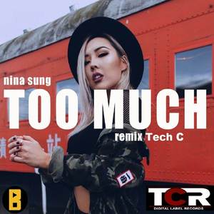Too Much (Remix)