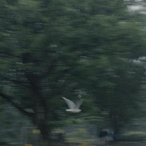 想我的时候听这歌