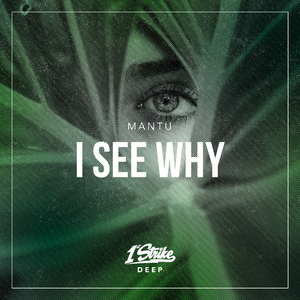 I See Why (Extended Mix)