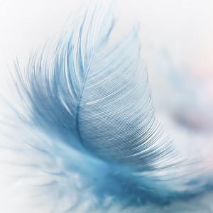 风吹过八千里 (剪辑版)