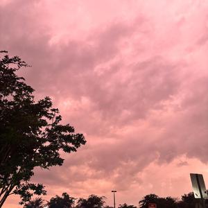 Baconeggandcheese (slowed)