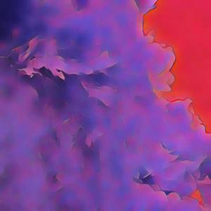 Ignominiously Sack Out Ali