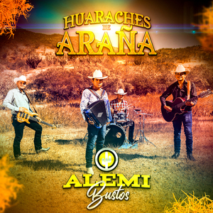 Huaraches de Araña