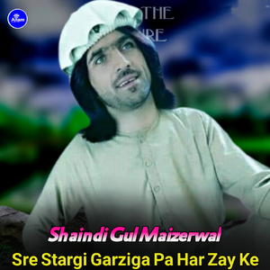 Sre Stargi Garziga Pa Har Zay Ke