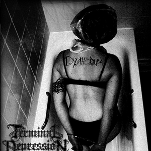 Wandering A Desolate Dream