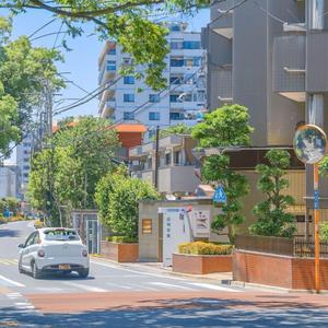 青い季節越えて