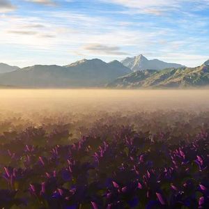 走过一条小路 伴奏