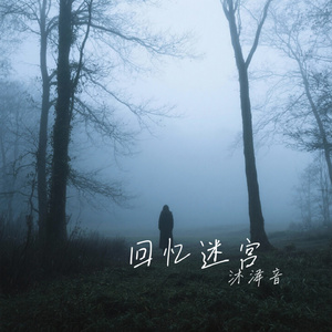 回忆迷宫
