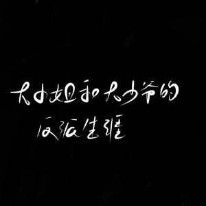 大小姐和大少爷的反派生涯