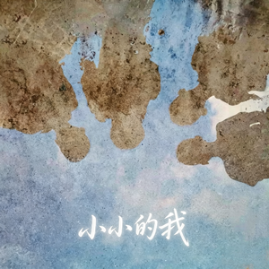 两只老虎