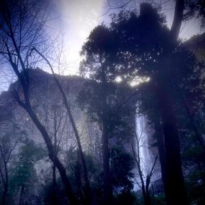 Forget me (feat. seeulater)