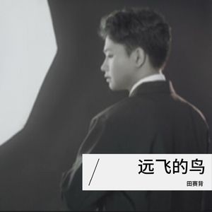 远飞的鸟